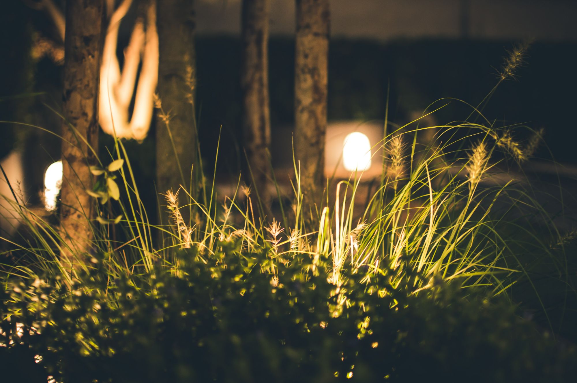 lighting landscaping